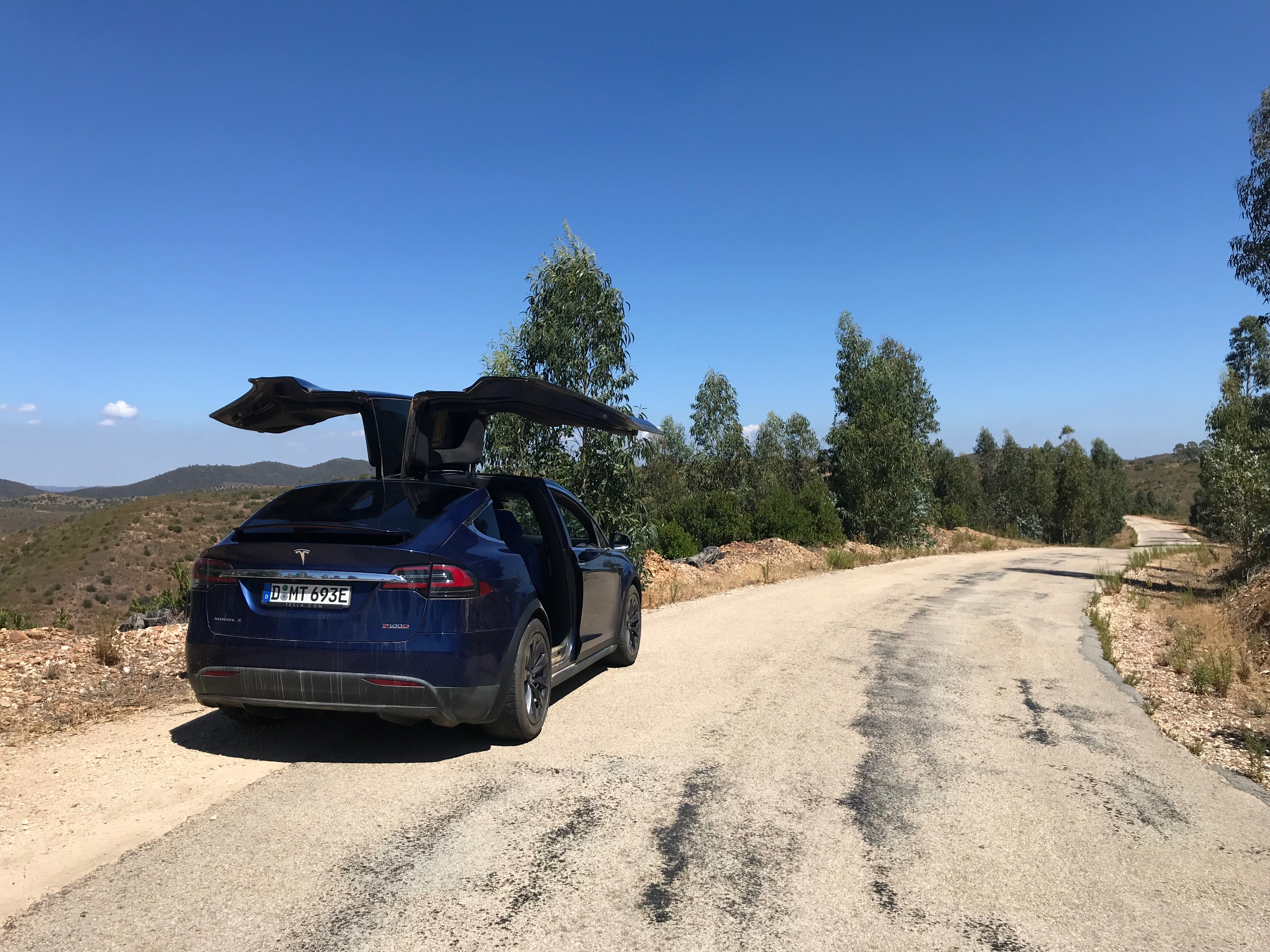 Lucy on a winding Alentejo road with eucalyptus and rolling hills